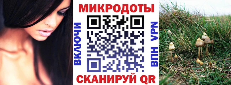 Псилоцибиновые грибы мицелий  Подпорожье 